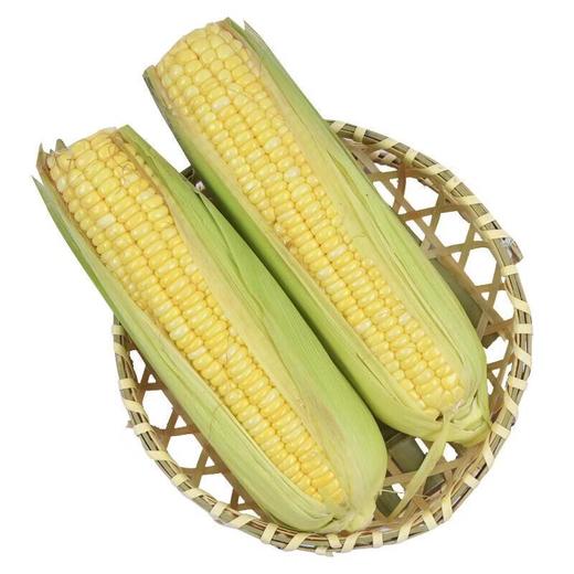 那云那南有机甜脆玉米 350g/份 商品图4