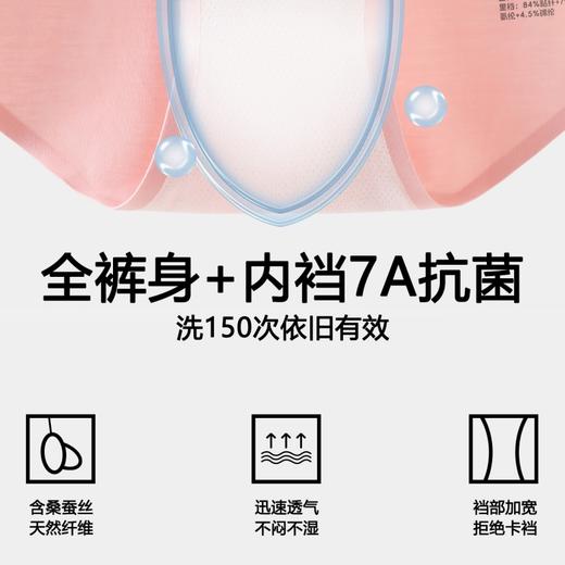 【3条装】象&兔女士内裤 女士120支莫代尔内裤 T-M6 商品图2