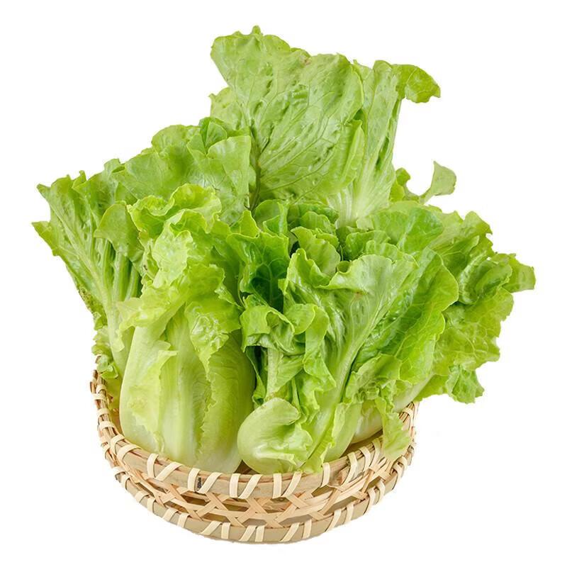 有机意大利生菜 250g/份