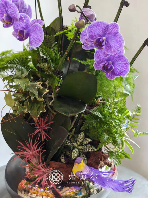 蒸蒸日上 商品图2