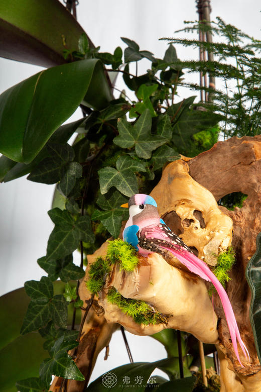 鞍马团圆 商品图3