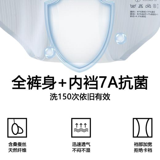 【3条装】象&兔女士内裤 女士超薄条纹冰丝内裤 T-I3 商品图3