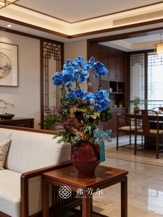 万里鹏翼 商品图0