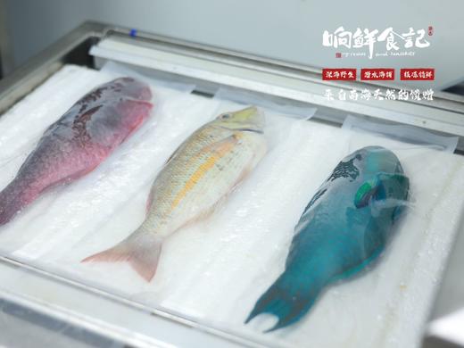 南海野生海鲜 商品图7