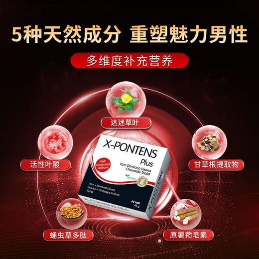 汉诺金达迷草叶薯蓣咀嚼片压片糖果 商品图1