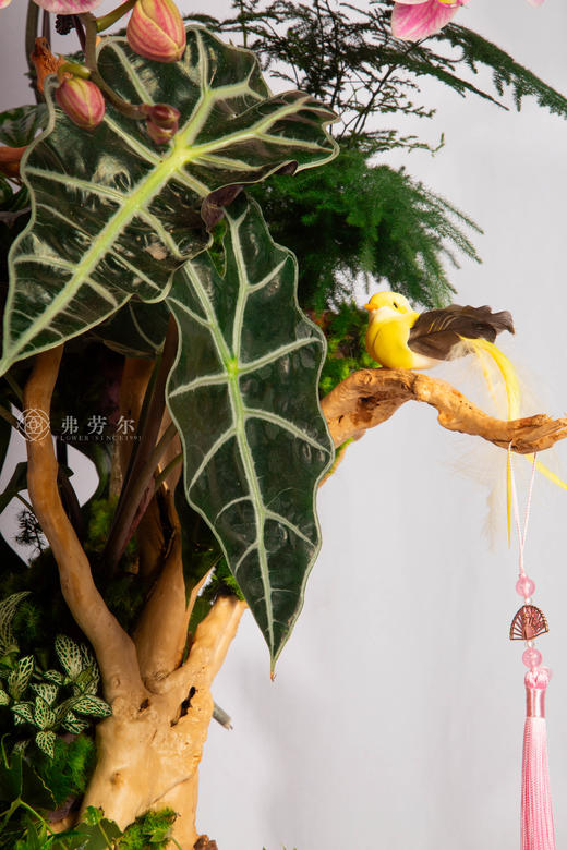 马迎新春 商品图3