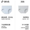【3条装】象&兔女士内裤 女士超薄条纹冰丝内裤 T-I3 商品缩略图1