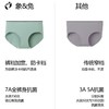 【3条装】象&兔女士内裤 女士80支长绒棉内裤 T-C3 商品缩略图5
