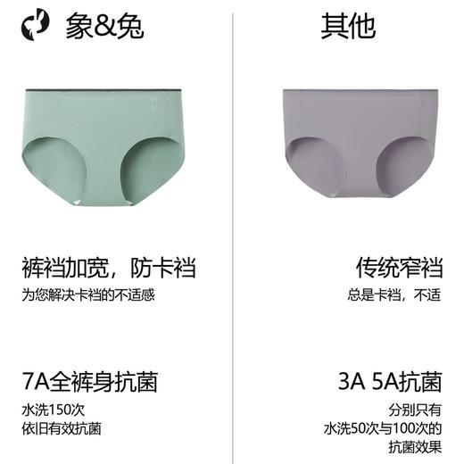 【3条装】象&兔女士内裤 女士80支长绒棉内裤 T-C3 商品图5