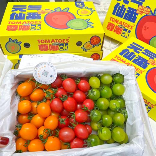 双色千禧番茄 红+黄 两种口味一起拥有 商品图9