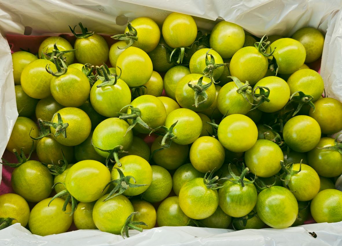 #小青甜#绿番茄