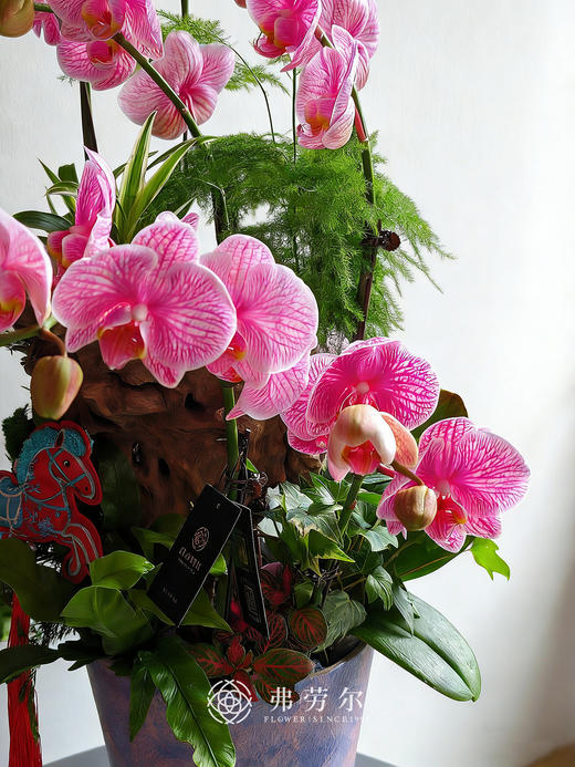 心想事成 商品图1