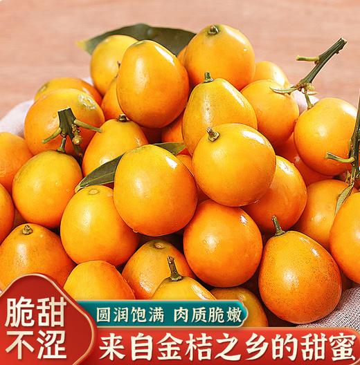 广西脆甜小金桔500g 商品图0