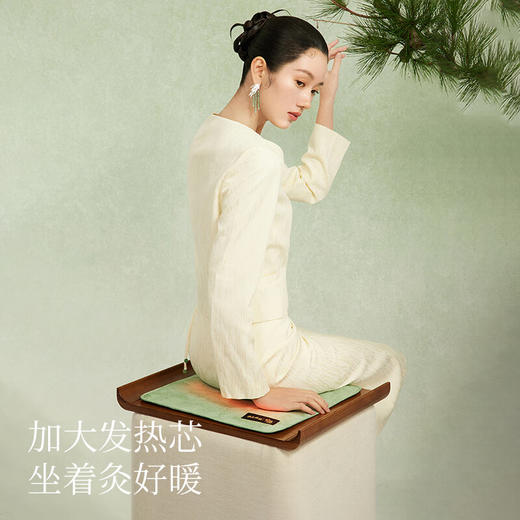 【多样屋专柜】左点养生娘娘坐垫(故宫款)艾草红花玫瑰热敷加热全身通用办公室坐垫 商品图3