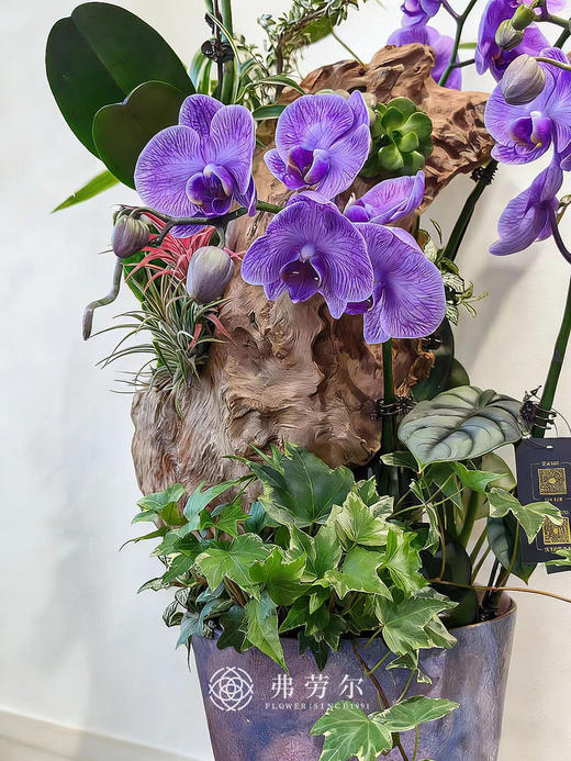 堆金积玉 商品图2