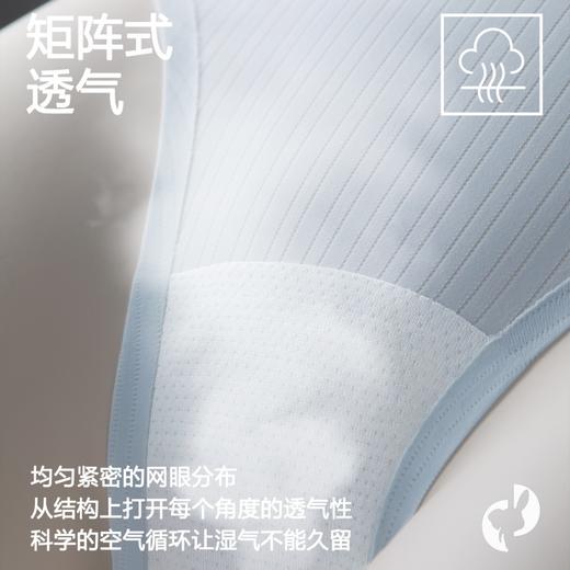 【3条装】象&兔女士内裤 女士超薄条纹冰丝内裤 T-I3 商品图2