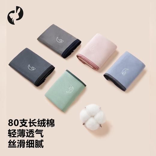 【3条装】象&兔女士内裤 女士80支长绒棉内裤 T-C3 商品图0
