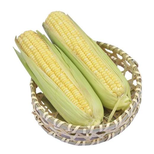 那云那南有机甜脆玉米 350g/份 商品图3