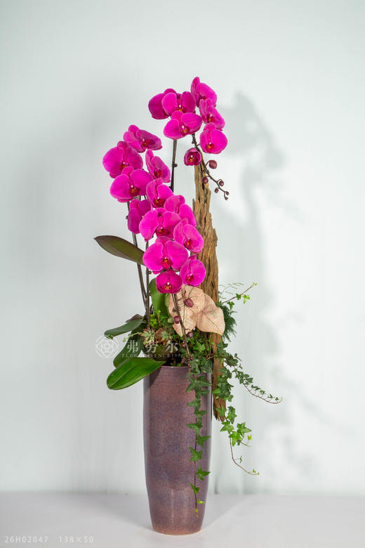 马跃人欢 商品图0