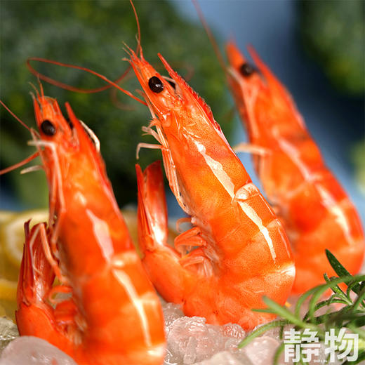 有机熟虾500g｜山东滨州 商品图3