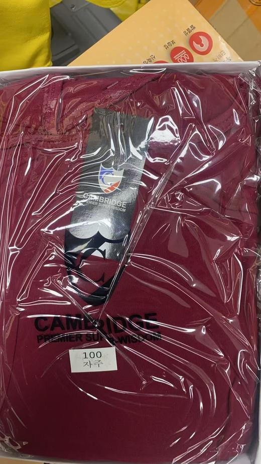 现货 无折扣 年终福利..出韩国🇰🇷女士加绒磨毛保暖套装 商品图3