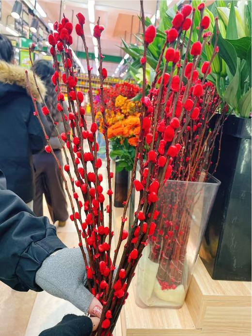 银柳2捆 商品图0