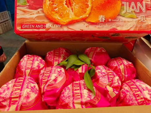 春见耙耙柑精品礼盒-毛重9斤/盒【BH】【OZR】 商品图0