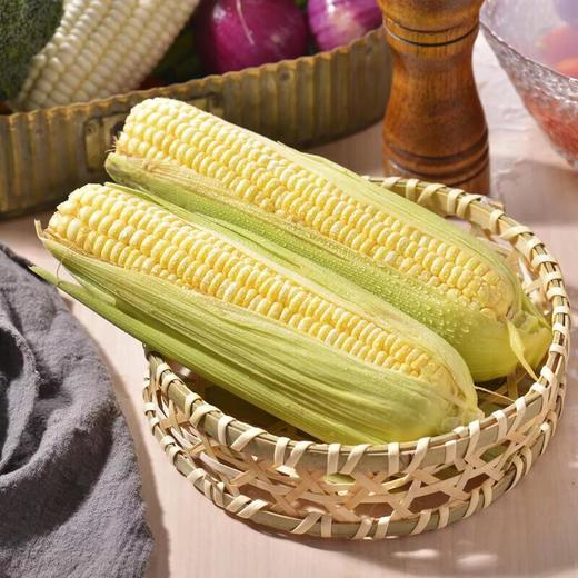 那云那南有机甜脆玉米 350g/份 商品图0