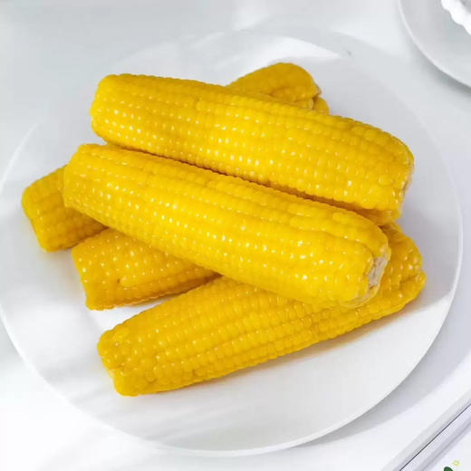 田里有草黄糯玉米2026新年款10根装 商品图5