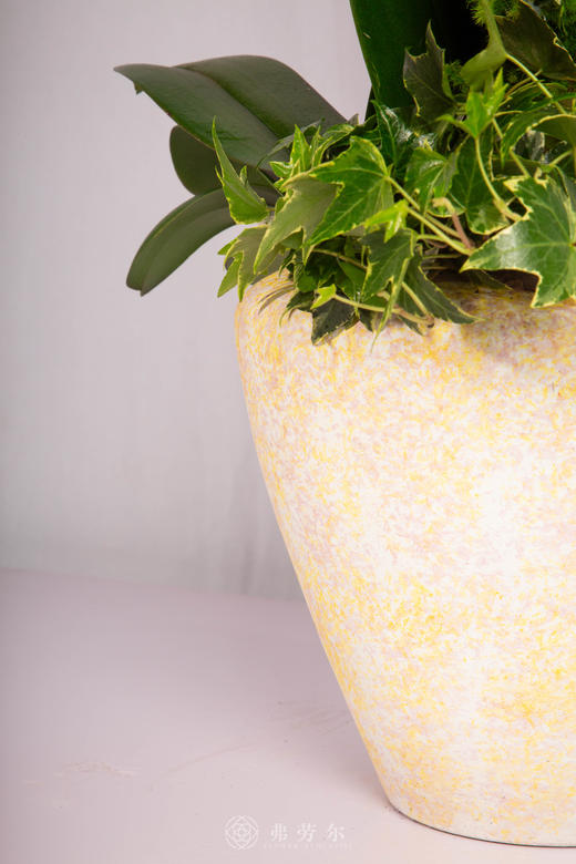 马迎新春 商品图4