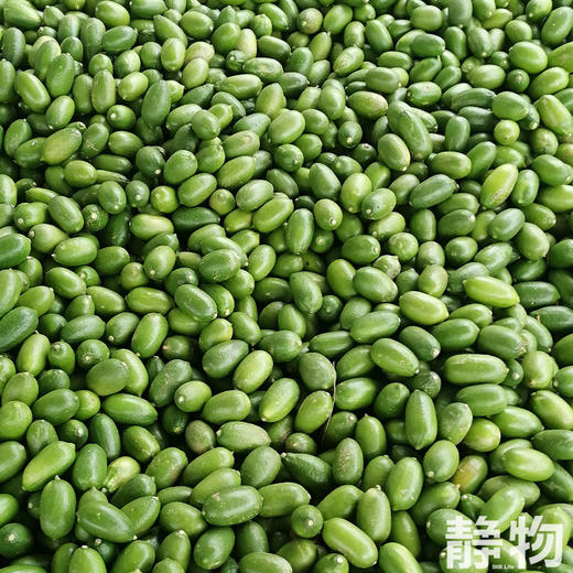 有机香水柠檬｜云南红河 商品图7