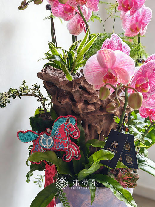 心想事成 商品图3