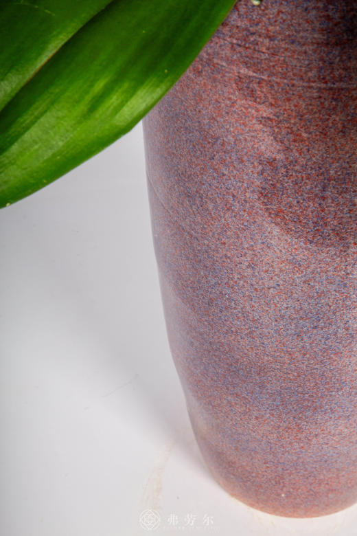 马跃人欢 商品图3