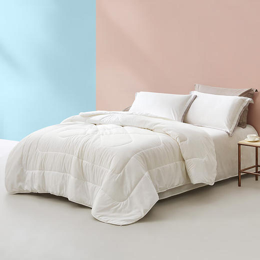 【多样屋专柜】罗莱 雅绵柔丝四季被（200*230cm） 商品图1