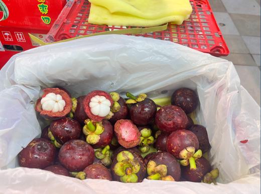 小框山竹一箱 商品图1