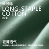 【3条装】象&兔女士内裤 女士80支长绒棉内裤 T-C3 商品缩略图3
