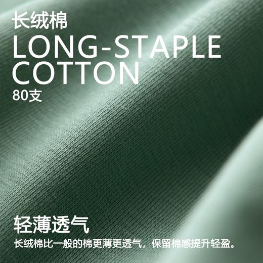 【3条装】象&兔女士内裤 女士80支长绒棉内裤 T-C3 商品图3