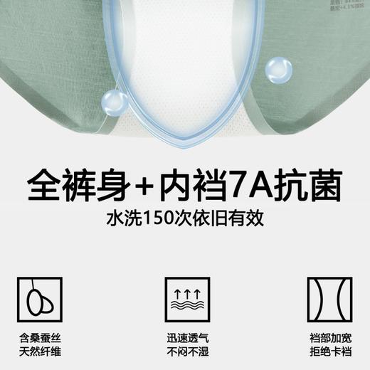 【3条装】象&兔女士内裤 女士80支长绒棉内裤 T-C3 商品图2