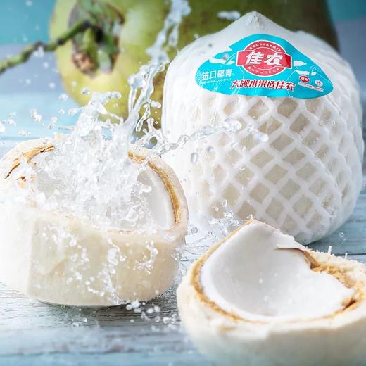 新鲜水果  泰国精品椰青 1枚 商品图3