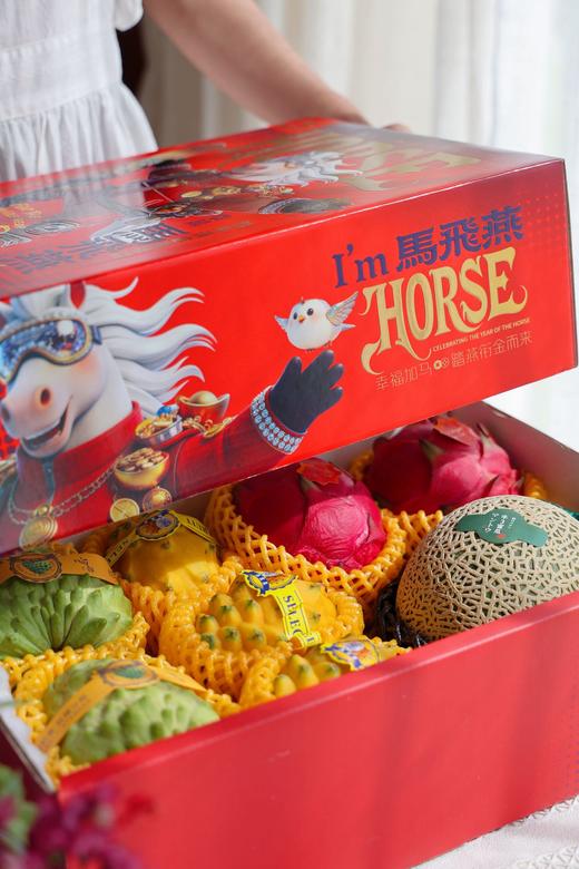 马上发财·马飞燕新年礼盒 商品图7
