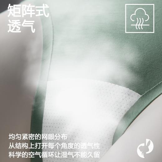 【3条装】象&兔女士内裤 女士80支长绒棉内裤 T-C3 商品图1