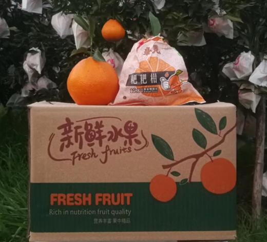 有机耙耙柑（春见） 8斤/箱 另加送半斤 产地现采现发  全国配送（偏远地区除外） 商品图1