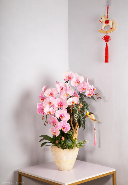 马迎新春 商品图0