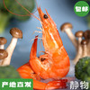 有机熟虾500g*3盒｜山东滨州【Y】 商品缩略图0