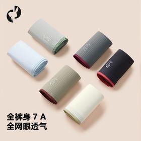 【3条装】象&兔女士内裤 女士超薄条纹冰丝内裤 T-I3