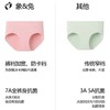 【3条装】象&兔女士内裤 女士120支莫代尔内裤 T-M6 商品缩略图4