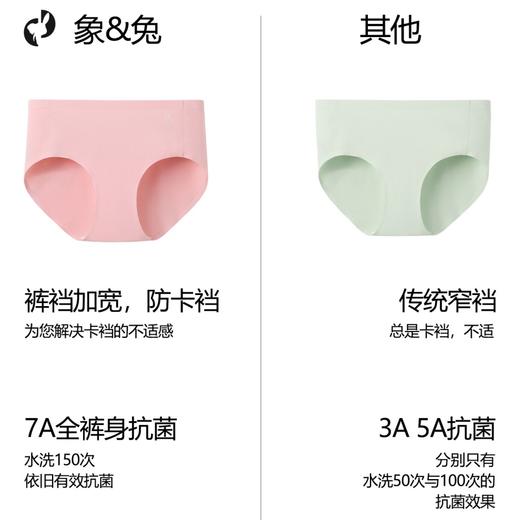 【3条装】象&兔女士内裤 女士120支莫代尔内裤 T-M6 商品图4