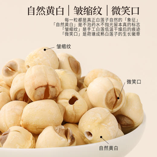 正安原材·湖南湘潭白莲子 应季采挖去绿芯 粒大饱满 口感粉糯清甜 250g/罐【冷藏保存】 商品图3