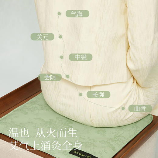 【多样屋专柜】左点养生娘娘坐垫(故宫款)艾草红花玫瑰热敷加热全身通用办公室坐垫 商品图2