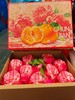 春见耙耙柑精品礼盒-毛重9斤/盒【BH】【OZR】 商品缩略图1